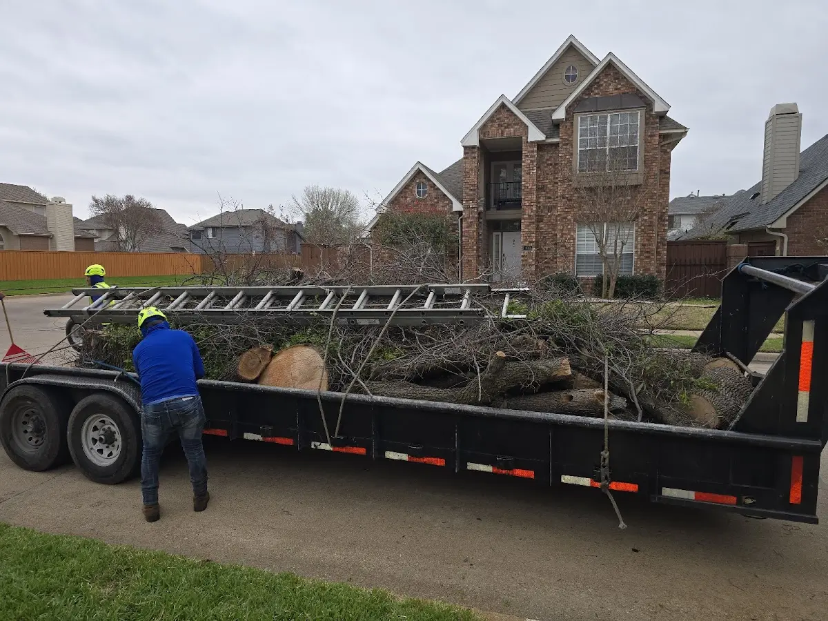 Expert Crown Reduction with proper safety equipment in Arlington